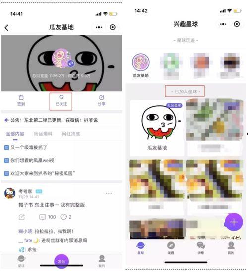 网暴吃瓜频道,揭秘网络暴力背后的“吃瓜”真相